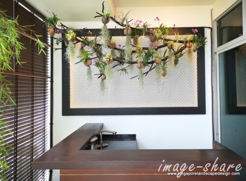 Balcony-in-style-22-The-Balcony-Garden-Bar-featuring-The-Branch.jpg