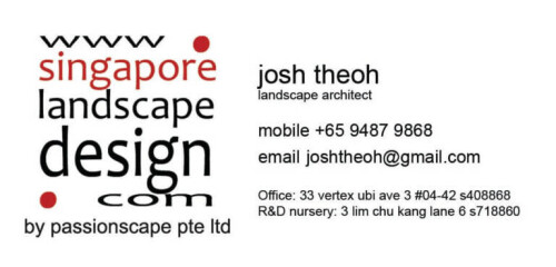 Logo Singapore landscape