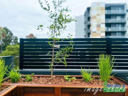 Garden Design Services Perth