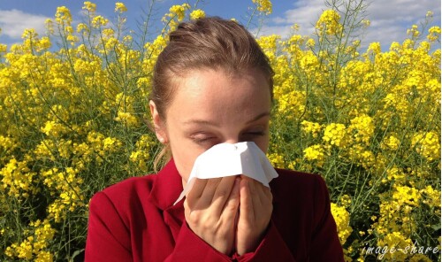 Hypnotherapy for Allergies in Secret Harbour Perth