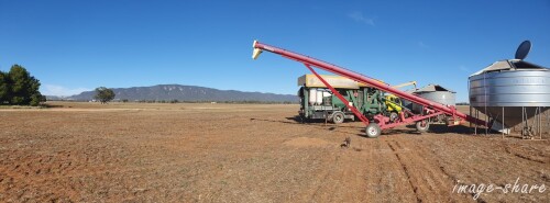 seed cleaning