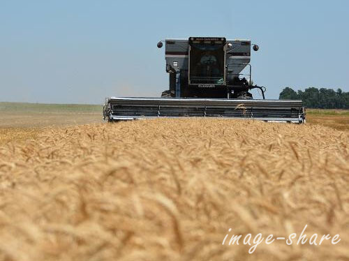 seed treatments